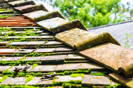 D&eacute;moussage de toiture, quand et comment intervenir efficacement ?